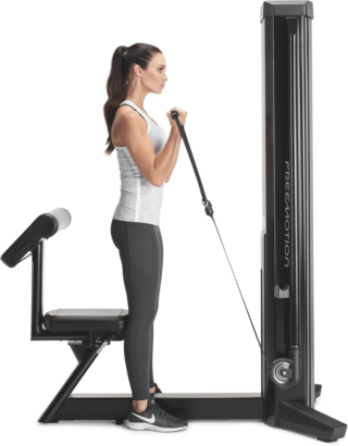 FreeMotion G602 Genesis Biceps