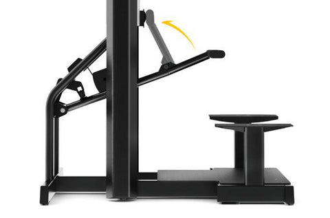 FreeMotion Epic ES812 Dip-Chin Assist