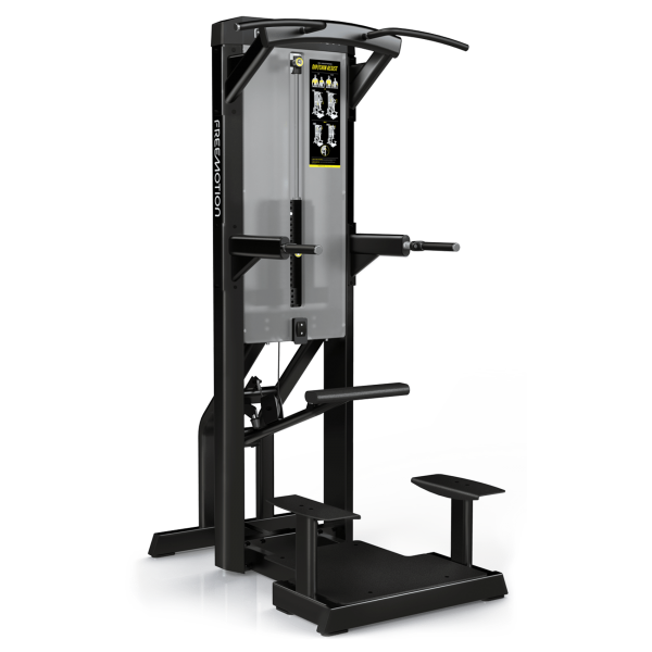 FreeMotion Epic ES812 Dip-Chin Assist