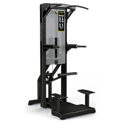 FreeMotion Epic ES812 Dip-Chin Assist