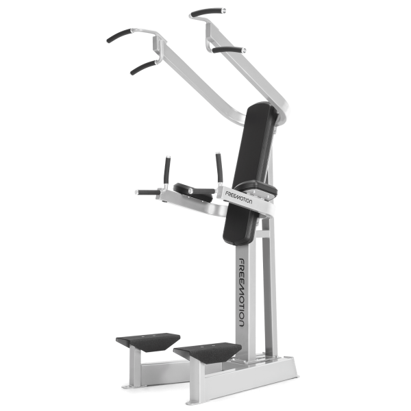 FreeMotion EF207 Dip Chin/AB