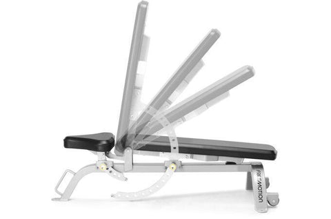FreeMotion EF203 Adjustable Bench