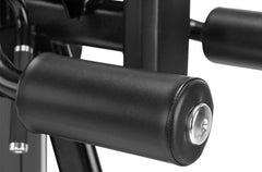 FreeMotion Epic ES816 Lateral Raise