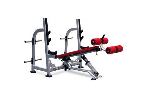 Atlantis Strength PRF3031 Flat / Decline Bench Press with pivot