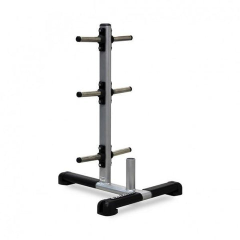 Atlantis Strength PRR0300 Plate Rack