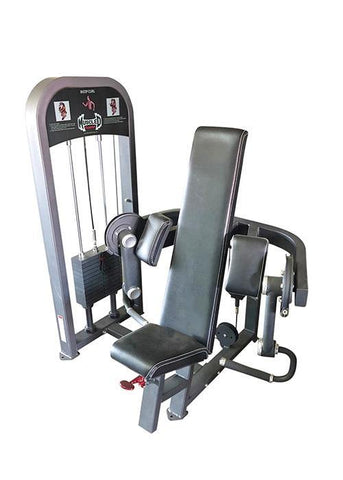 Muscle D Classic Line Bicep Curl