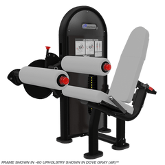 Nautilus Instinct Dual Leg Extension/Leg Curl