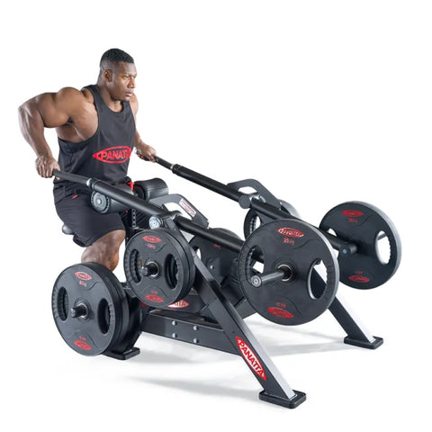 Panatta Freeweight One Dips Press
