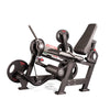 Panatta Freeweight One Leg Extension