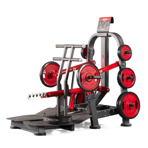 Panatta Freeweight Special Belt squat