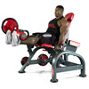Panatta Freeweight Special Leg Extension