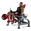 Panatta Freeweight Special Leg Extension