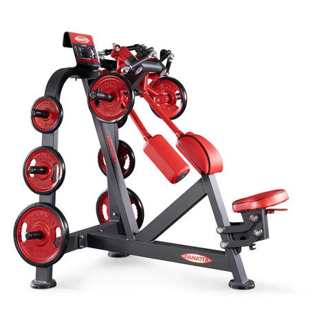 Panatta Freeweight Special Back deltoids