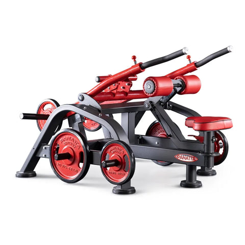 Panatta Freeweight Special Dips press dual system