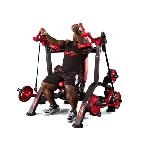 Panatta Alternate Arm Curl 120