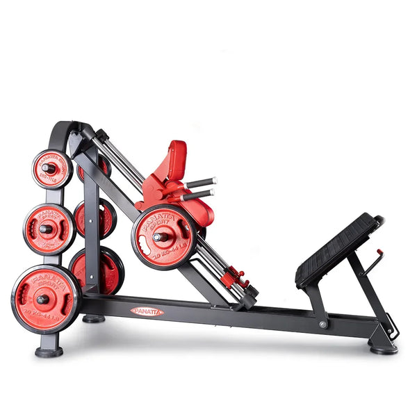 Panatta Freeweight Special Super calf hack