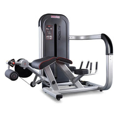 Panatta Monolith Leg Curling