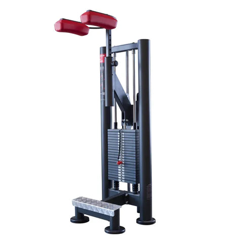 Panatta Sec Calf Machine