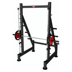 Panatta Sec Smith Machine Linear Bearings