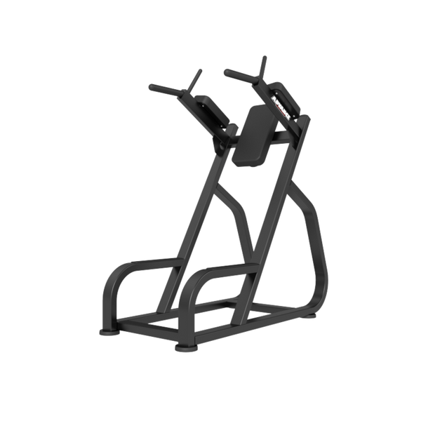 Newtech Dip & Leg Raise
