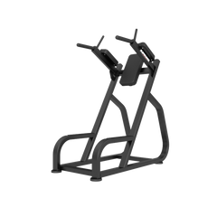 Newtech Dip & Leg Raise