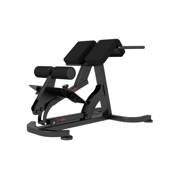 Newtech Roman Chair (45~90° Adjust Type)