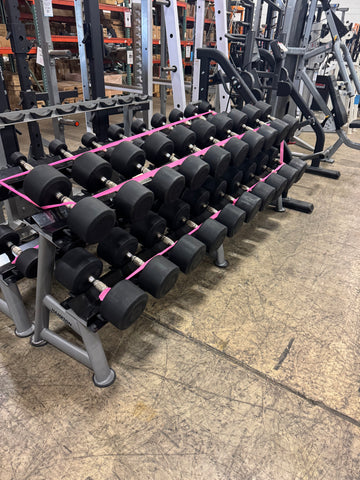 Hampton Dura-Pro Urethane Dumbbell Set 5-100lb in 5lb Increments and Hampton Saddle Dumbbell Racks-USED