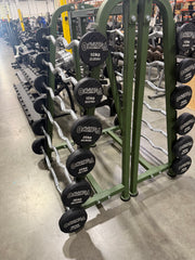Newtech Wellness Mr. Olympia Urethane EZ Curl Fixed Barbell 10kg thru 35kg plus one sided Rack (OLYMPIA VERSION)