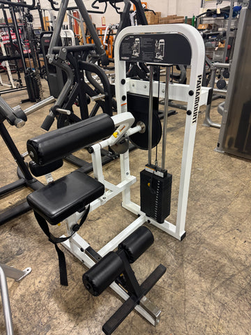 Paramount FL-36 Abdominal/Back Extension Combo-USED