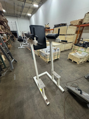 PROSTAR Vertical Knee Raise-USED