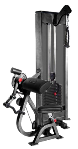 ProMaxima Raptor P-3350 Combo Seated Arm Curl