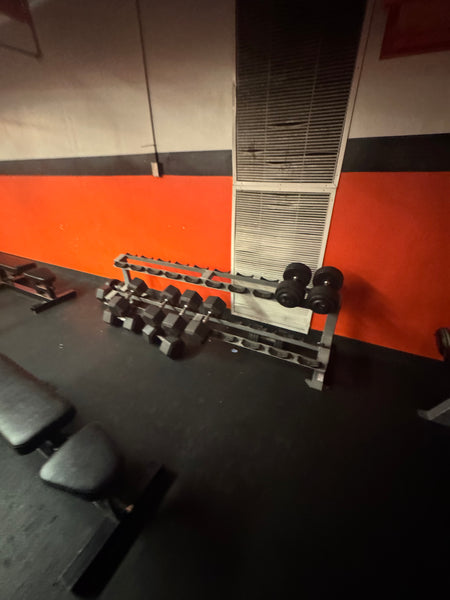 FreeMotion Two Tier Saddle Dumbbell Rack-USED