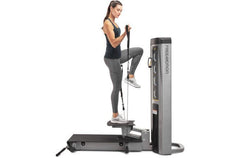 FreeMotion GD504 Genesis DS Lift/Step