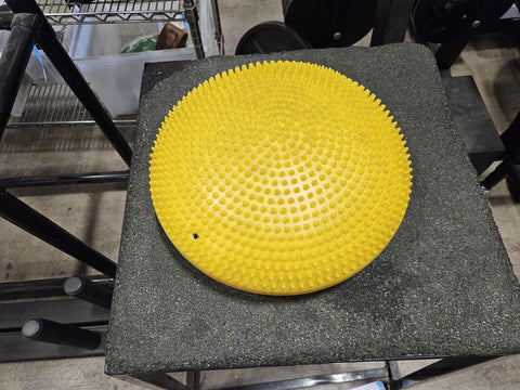 USED - Perform Better Disc Pillow Balance Trainer
