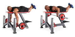 Panatta Freeweight Special Seal Row Bench