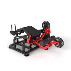 Newtech Torture Leg Curl