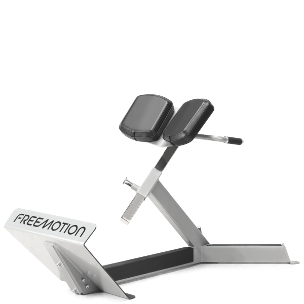 FreeMotion EF206 45 Degree Back Extension