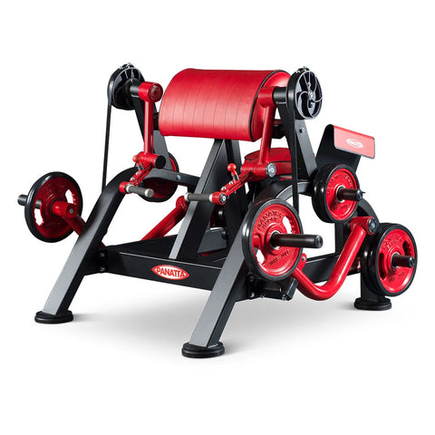 Panatta Freeweight Special Alternate Curling Machine