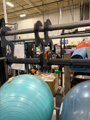 Pull Up Handles (Pair) Used