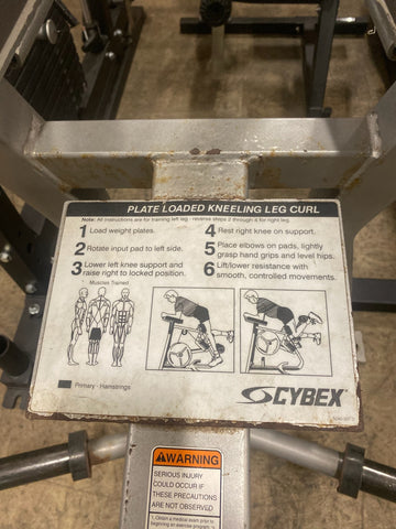 Cybex Kneeling Leg Curl - Used