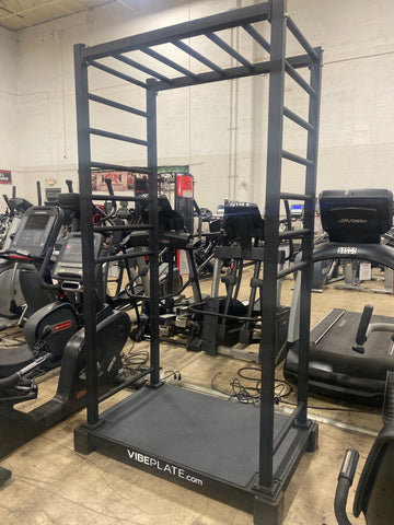 VibePlate Whole Body Vibration Plate with Stretching Cage - Used