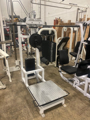 Reflex Total Hip - Used