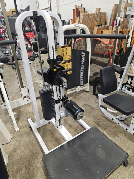Body Solid Multi-Hip - USED