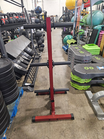 Body Solid BFWT10 Best Fitness Weight Tree & Bar Holder