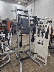Hoist Fitness Fitness Tree - USED