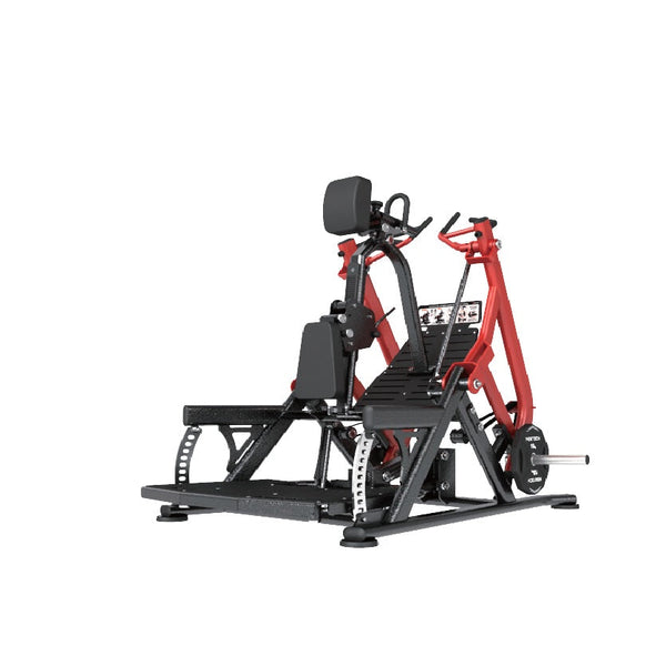 Newtech Torture Standing & Seated Row Combo (New)