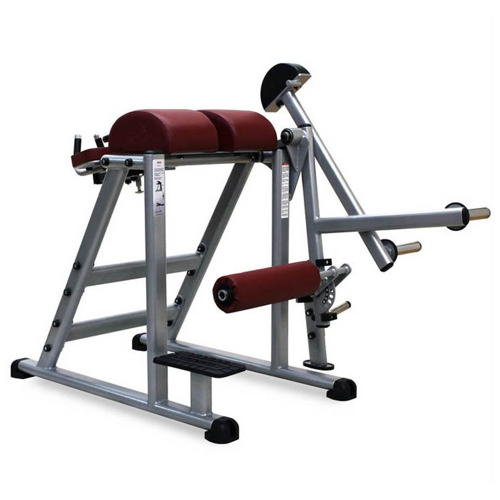 Atlantis Strength D-215 Precision Series Plate-Loaded Reverse Hyper ...