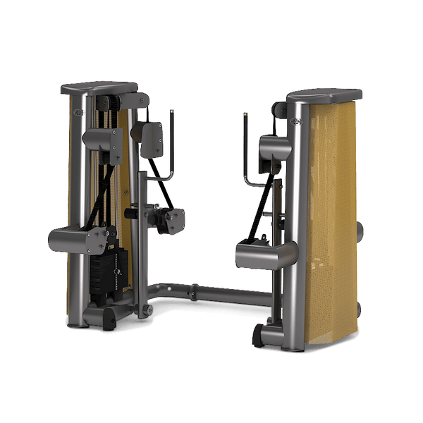 Gym80 FTM Push & Pull Machine